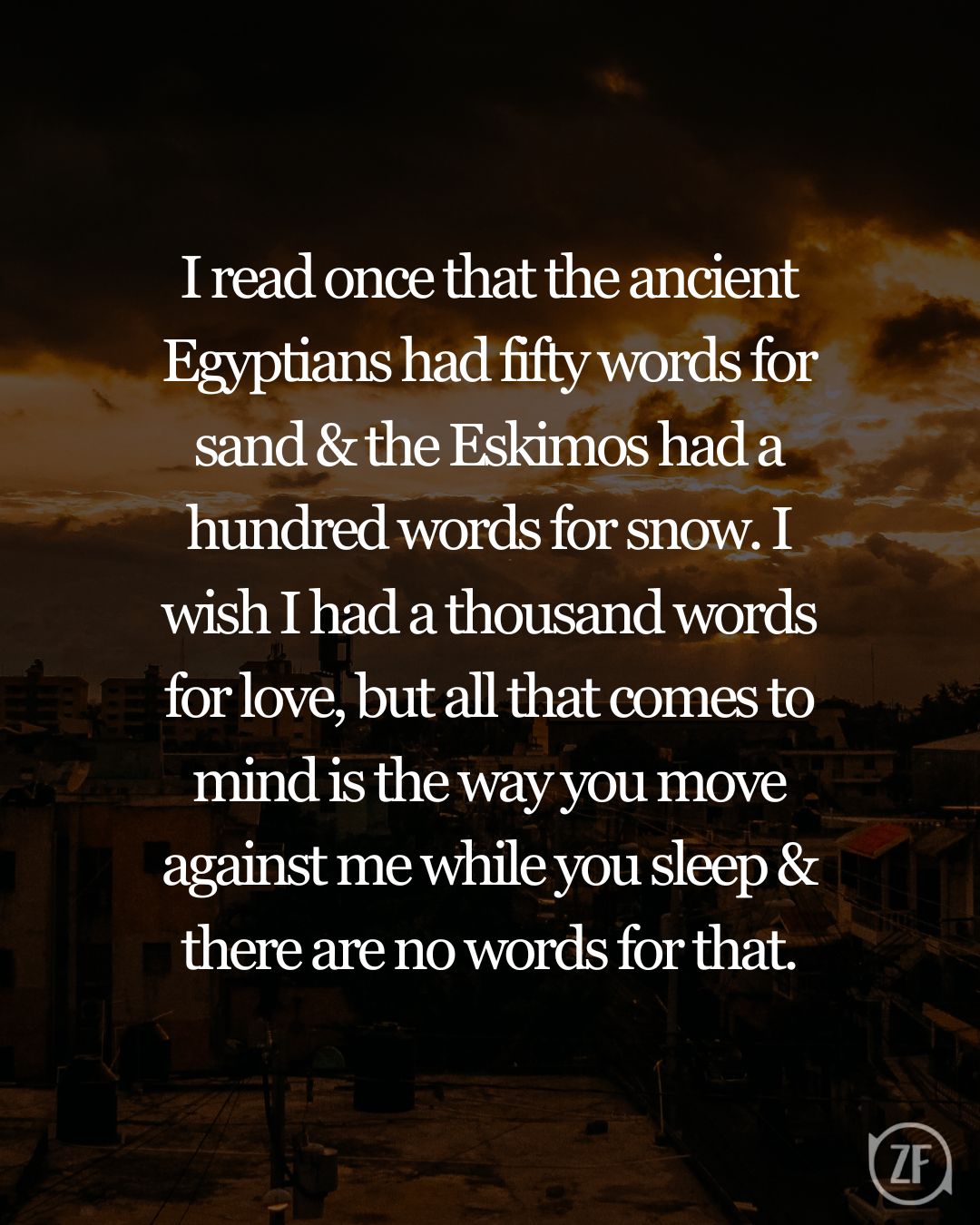 I read once that the ancient Egyptians had fifty words for sand & the Eskimos had a hundred words for snow. I wish I had a thousand words for love, but all that comes to mind is the way you move against me while you sleep & there are no words for that.