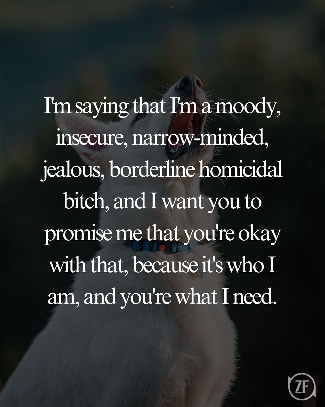 I'm saying that I'm a moody, insecure, narrow-minded, jealous, borderline homicidal bitch, and I want you to promise me that you're okay with that, because it's who I am, and you're what I need.