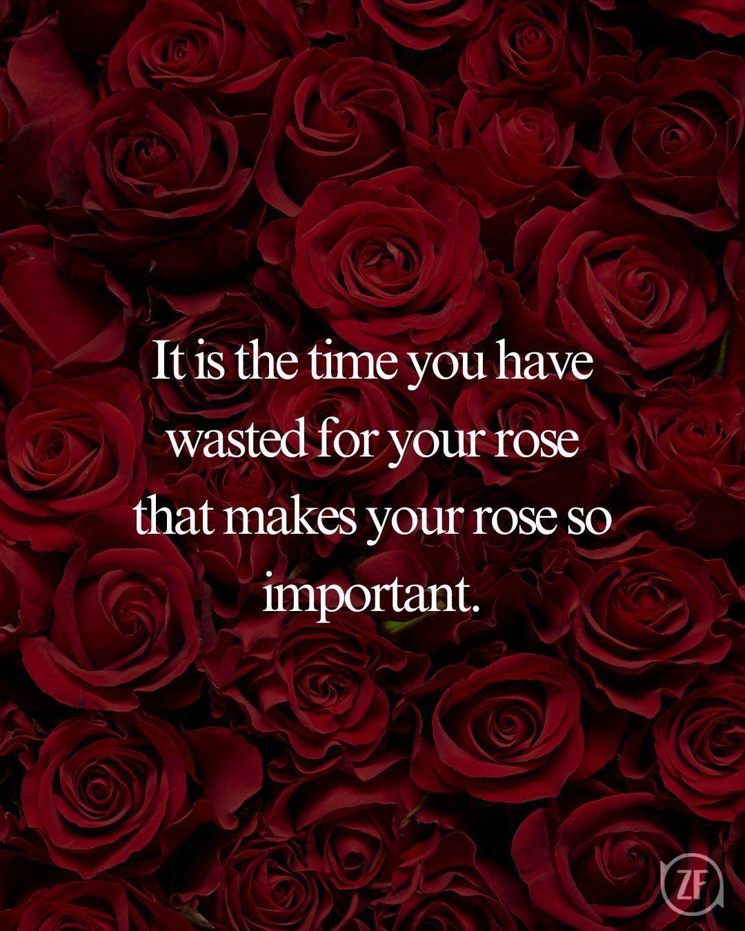 It is the time you have wasted for your rose that makes your rose so important.