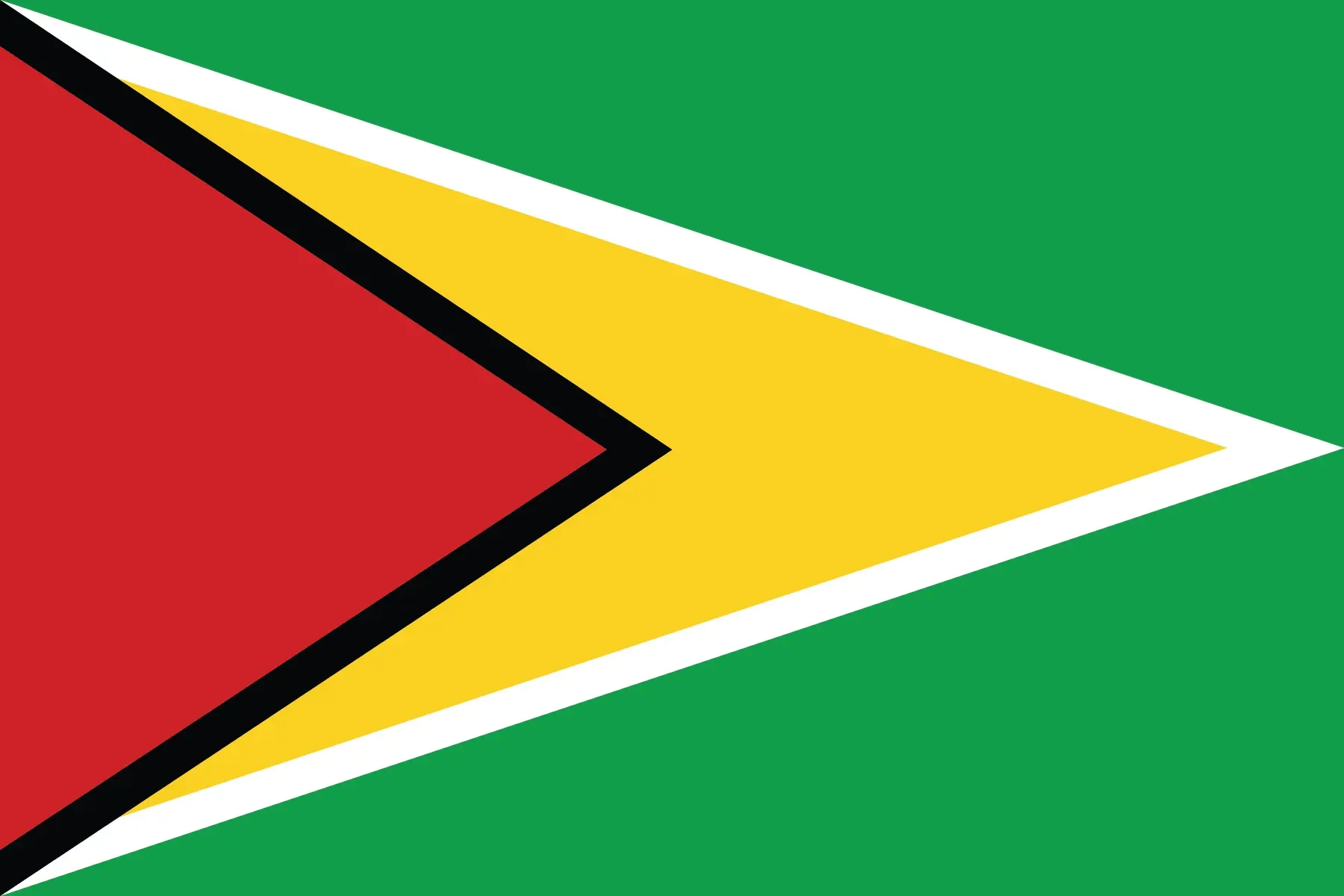 Guyana Flag