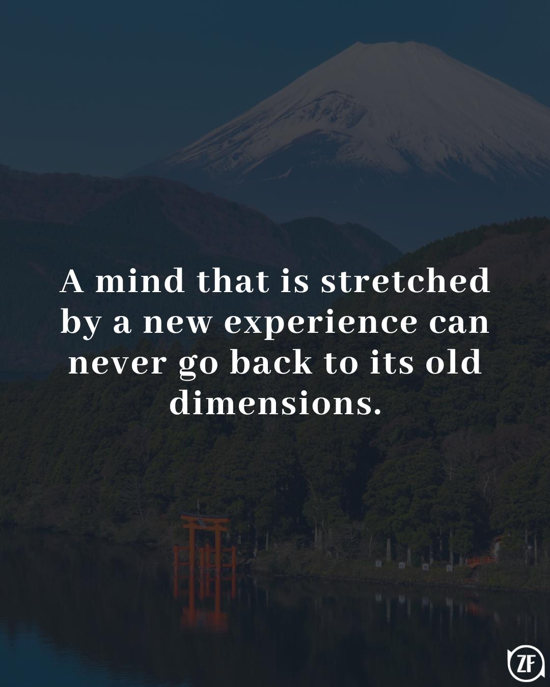 A mind that is stretched by a new experience can never go back to its old dimensions.