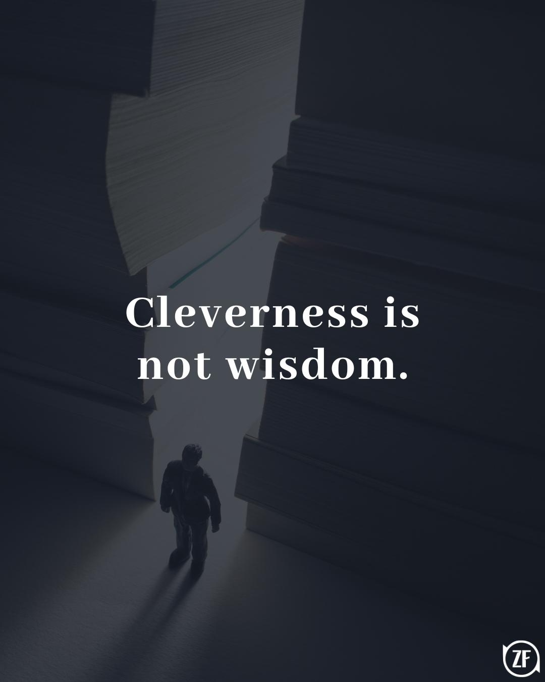 Cleverness is not wisdom.