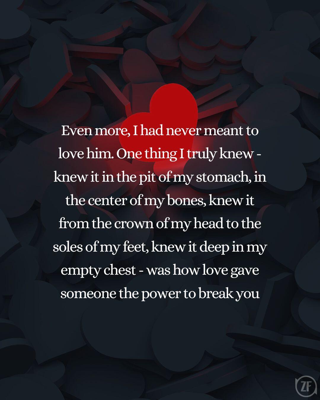 Even more, I had never meant to love him. One thing I truly knew - knew it in the pit of my stomach, in the center of my bones, knew it from the crown of my head to the soles of my feet, knew it deep in my empty chest - was how love gave someone the power to break you