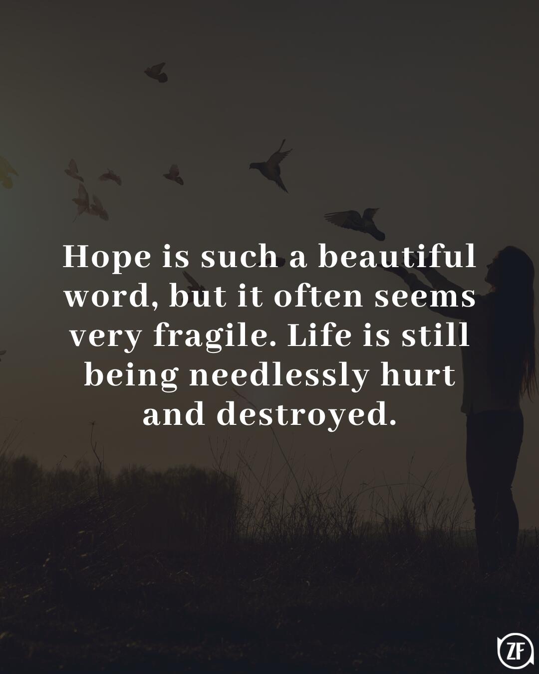 Hope is such a beautiful word, but it often seems very fragile. Life is still being needlessly hurt and destroyed.