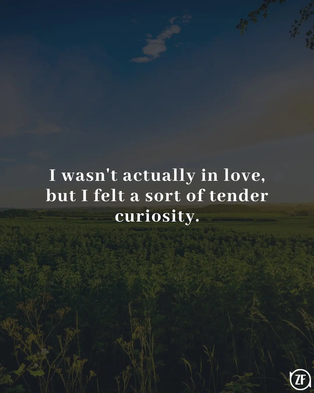 I wasn't actually in love, but I felt a sort of tender curiosity.