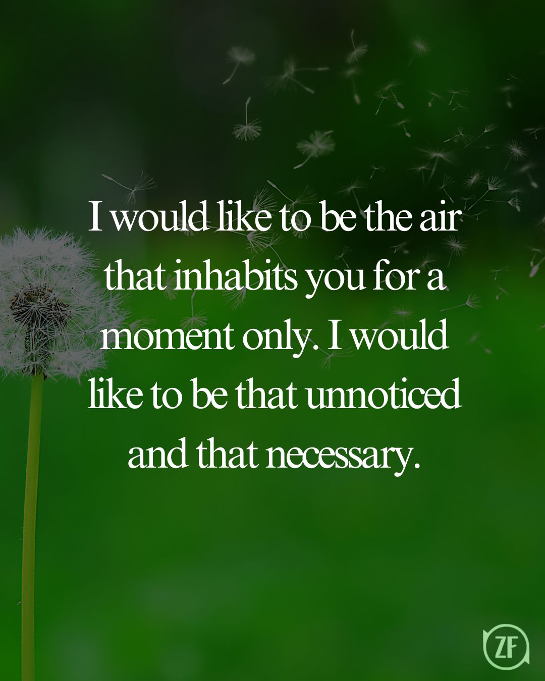 I would like to be the air that inhabits you for a moment only. I would like to be that unnoticed and that necessary.