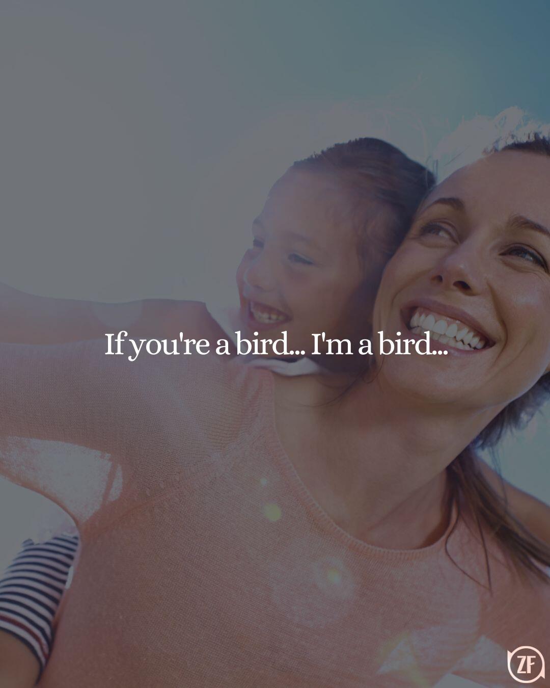 If you're a bird... I'm a bird...