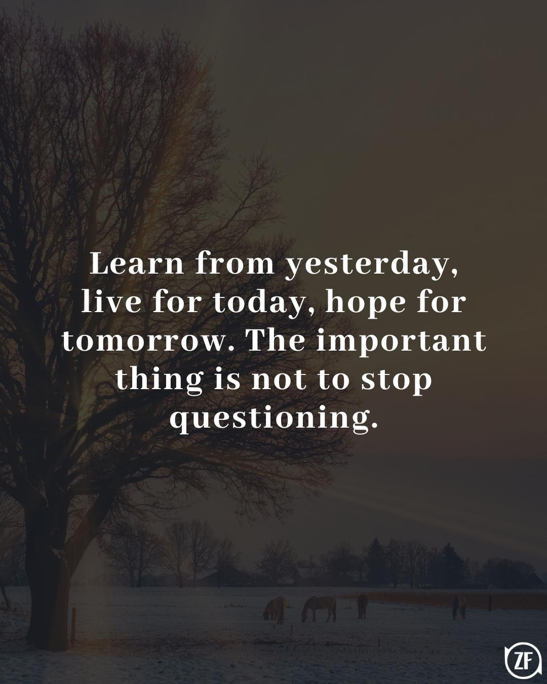 Learn from yesterday, live for today, hope for tomorrow. The important thing is not to stop questioning.