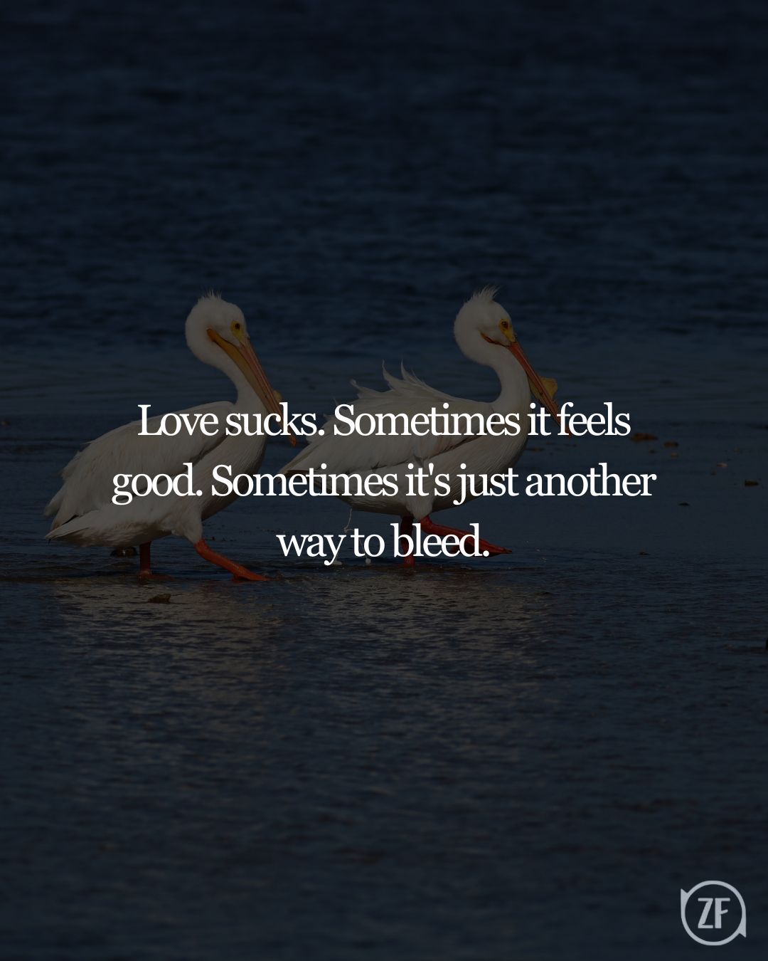 Love sucks. Sometimes it feels good. Sometimes it's just another way to bleed.