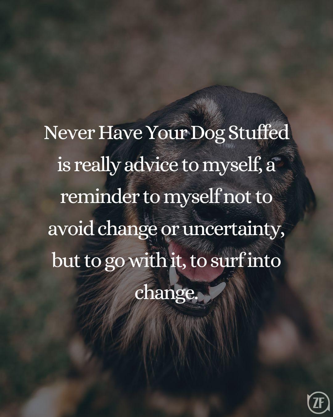 Never Have Your Dog Stuffed is really advice to myself, a reminder to myself not to avoid change or uncertainty, but to go with it, to surf into change.