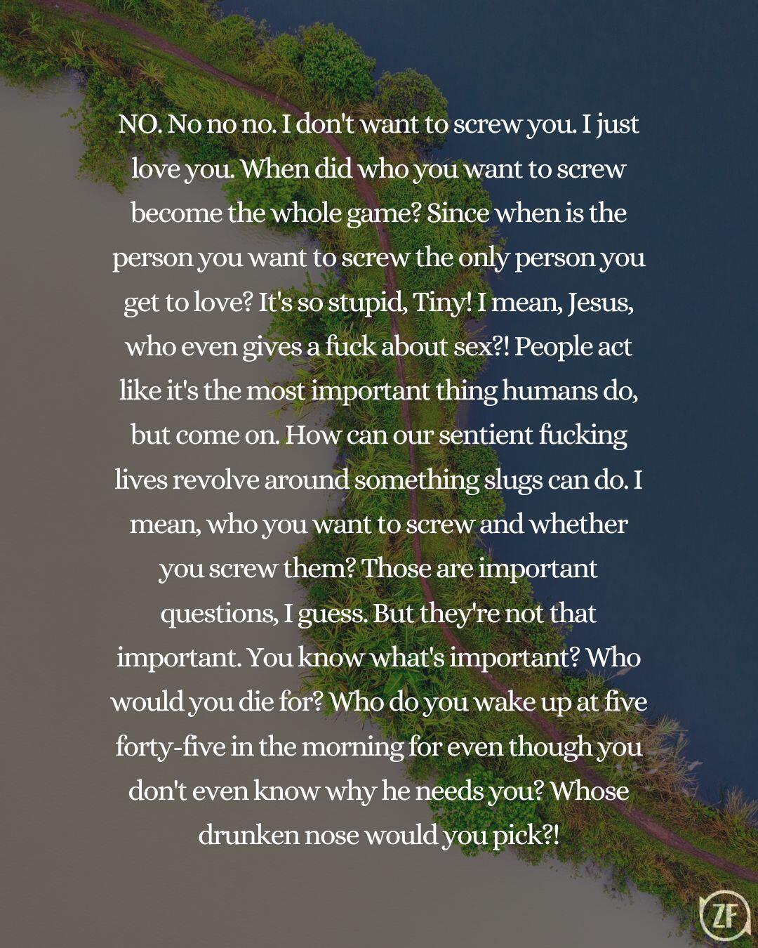 NO. No no no. I don't want to screw you. I just love you. When did who you want to screw become the whole game? Since when is the person you want to screw the only person you get to love? It's so stupid, Tiny! I mean, Jesus, who even gives a fuck about sex?! People act like it's the most important thing humans do, but come on. How can our sentient fucking lives revolve around something slugs can do. I mean, who you want to screw and whether you screw them? Those are important questions, I guess. But they're not that important. You know what's important? Who would you die for? Who do you wake up at five forty-five in the morning for even though you don't even know why he needs you? Whose drunken nose would you pick?!