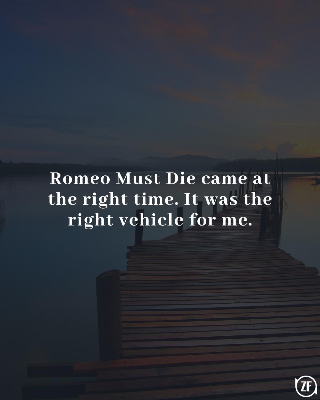 Romeo Must Die came at the right time. It was the right vehicle for me.