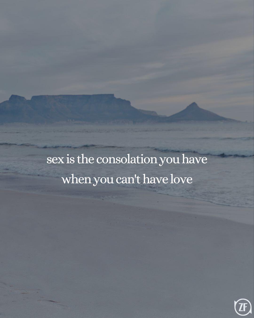 sex is the consolation you have when you can't have love