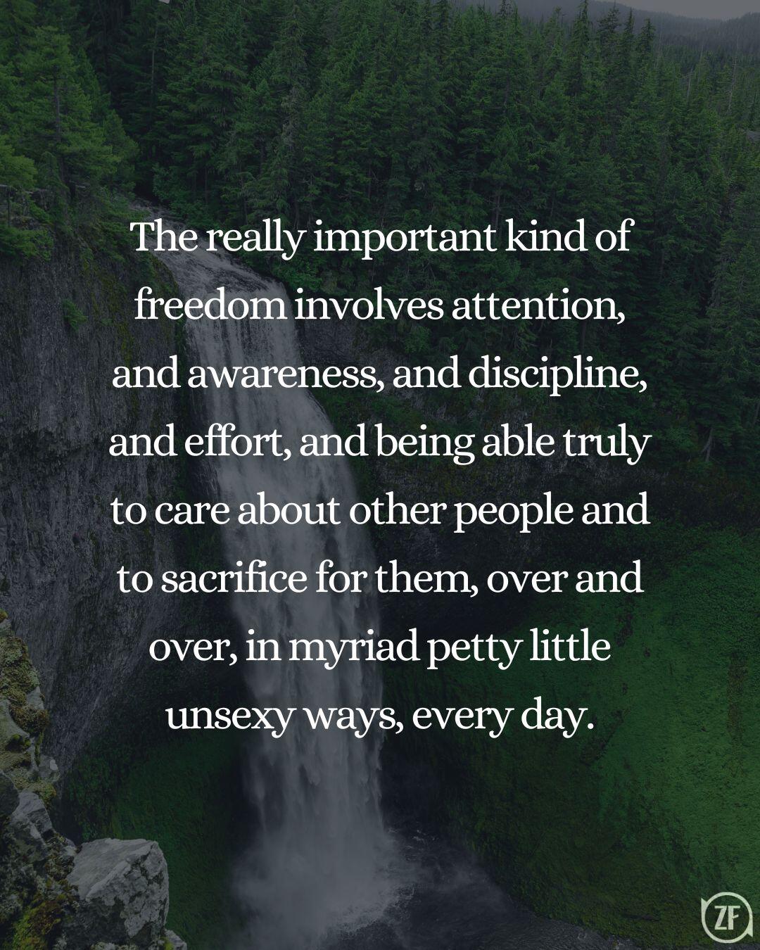 The really important kind of freedom involves attention, and awareness, and discipline, and effort, and being able truly to care about other people and to sacrifice for them, over and over, in myriad petty little unsexy ways, every day.