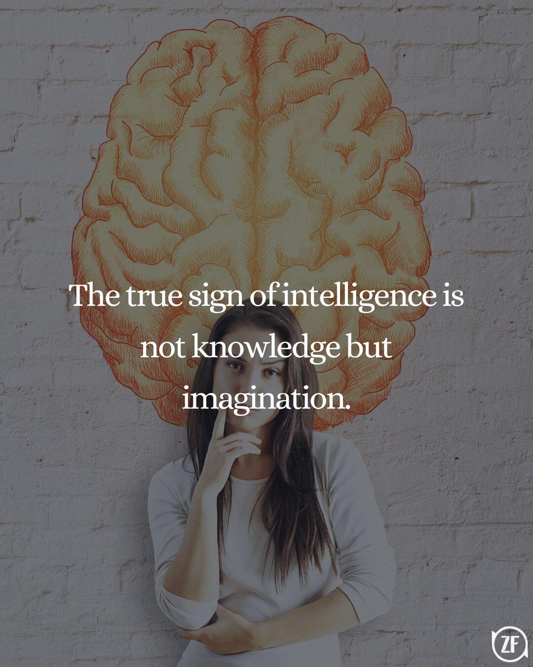 The true sign of intelligence is not knowledge but imagination.