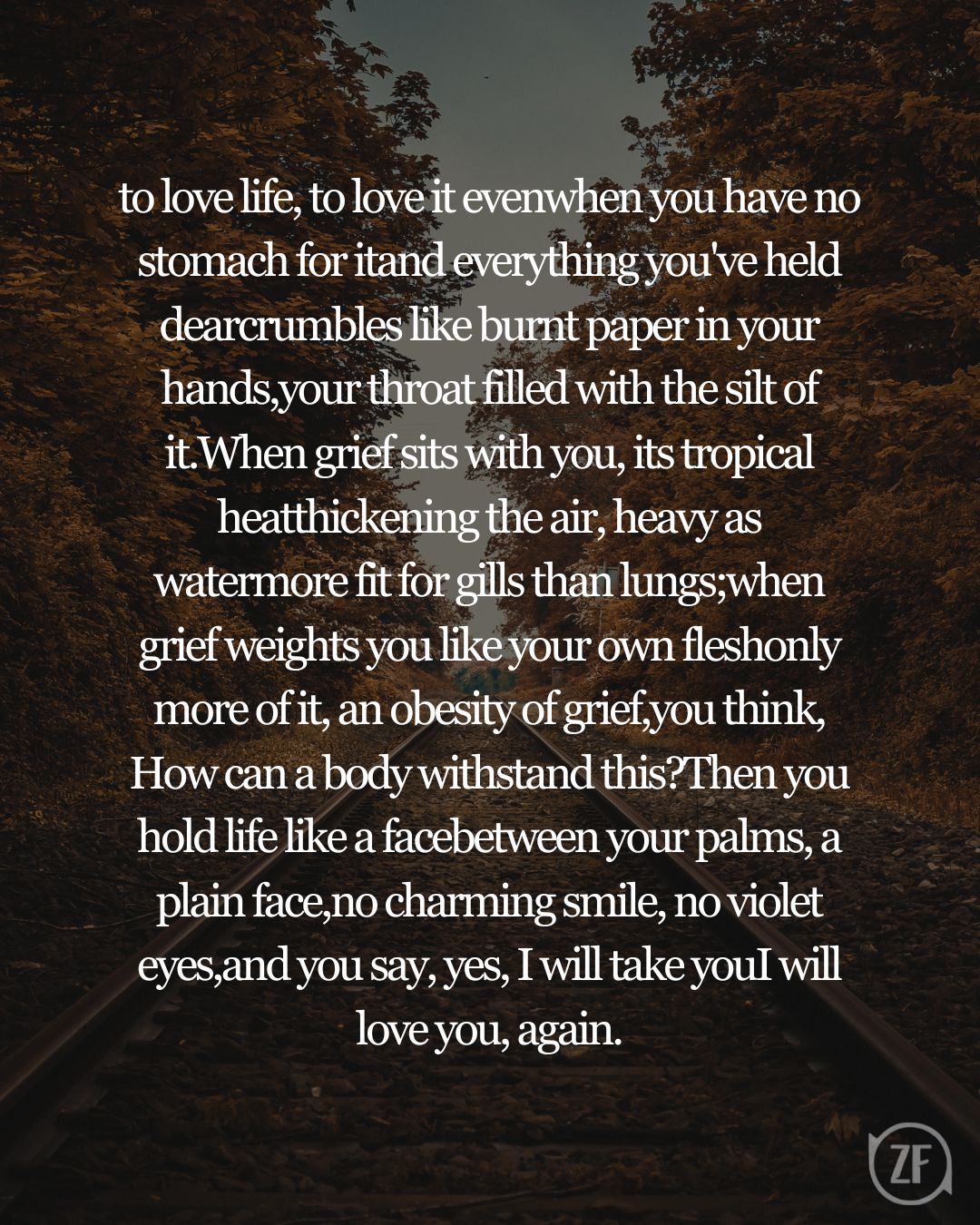 to love life, to love it evenwhen you have no stomach for itand everything you've held dearcrumbles like burnt paper in your hands,your throat filled with the silt of it.When grief sits with you, its tropical heatthickening the air, heavy as watermore fit for gills than lungs;when grief weights you like your own fleshonly more of it, an obesity of grief,you think, How can a body withstand this?Then you hold life like a facebetween your palms, a plain face,no charming smile, no violet eyes,and you say, yes, I will take youI will love you, again.