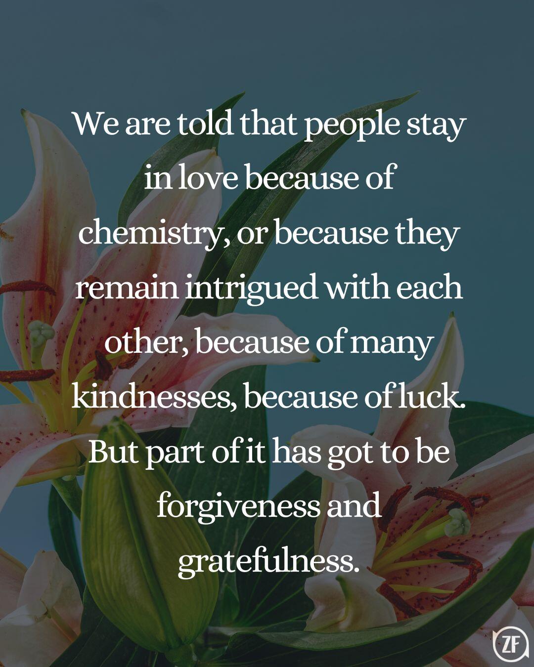 We are told that people stay in love because of chemistry, or because they remain intrigued with each other, because of many kindnesses, because of luck. But part of it has got to be forgiveness and gratefulness.