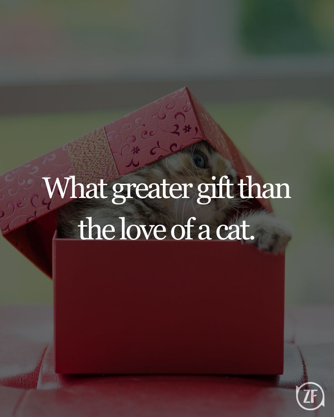 What greater gift than the love of a cat.