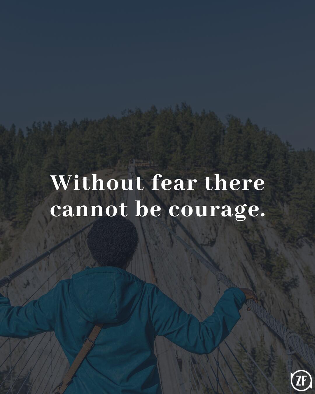 Without fear there cannot be courage.