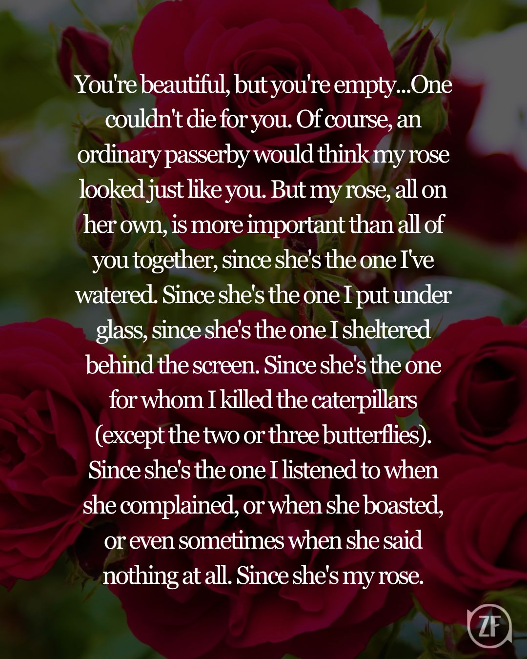 You're beautiful, but you're empty...One couldn't die for you. Of course, an ordinary passerby would think my rose looked just like you. But my rose, all on her own, is more important than all of you together, since she's the one I've watered. Since she's the one I put under glass, since she's the one I sheltered behind the screen. Since she's the one for whom I killed the caterpillars (except the two or three butterflies). Since she's the one I listened to when she complained, or when she boasted, or even sometimes when she said nothing at all. Since she's my rose.